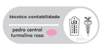 TÉCNICO CONTABILIDADE