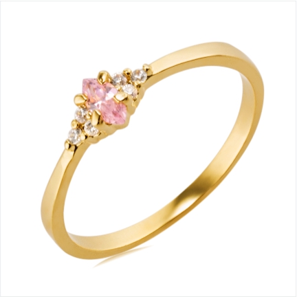 Anel de Formatura Ouro 10k